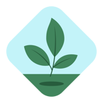 EUDR compliance solution EUDR compliance solution