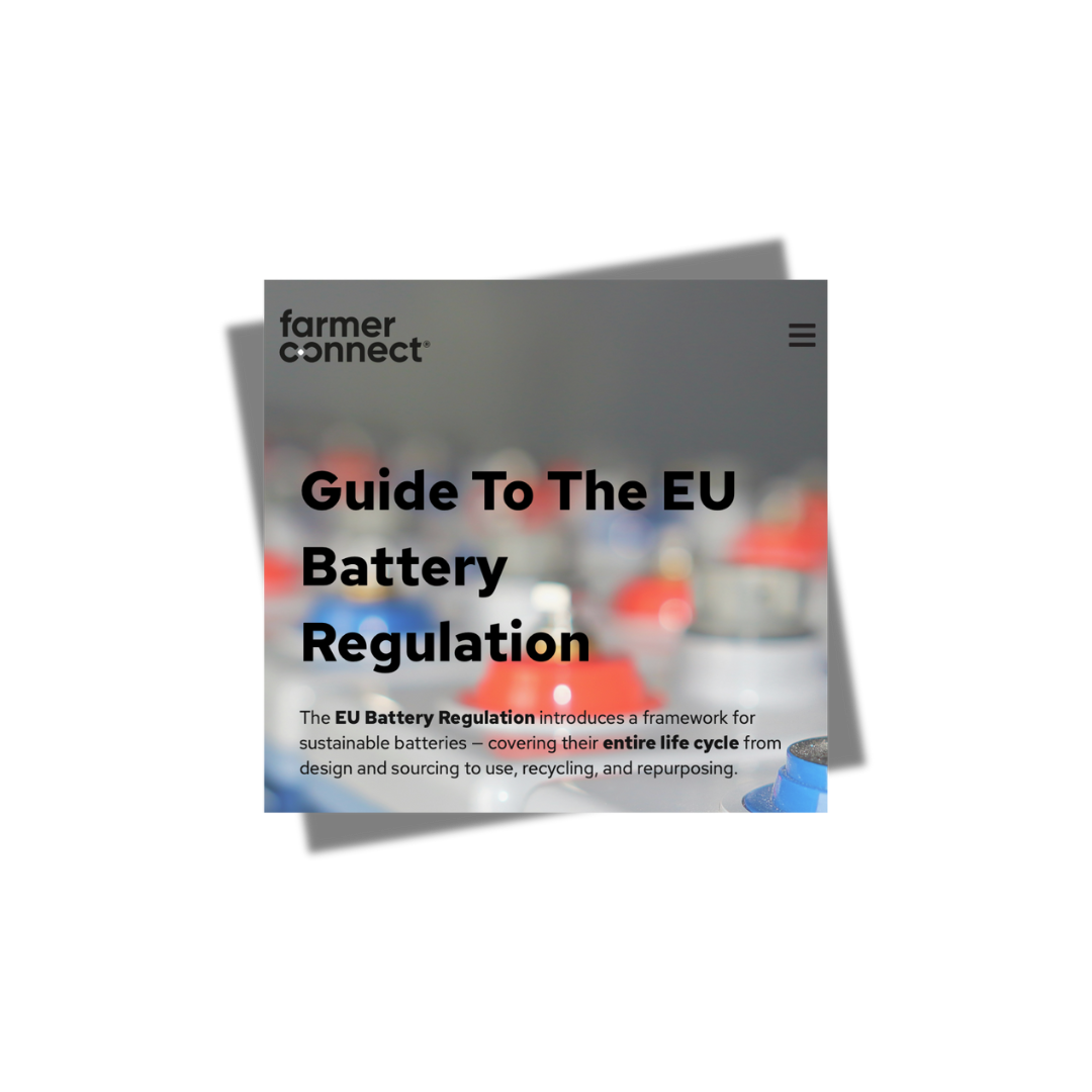 EU Battery Regulation Guide