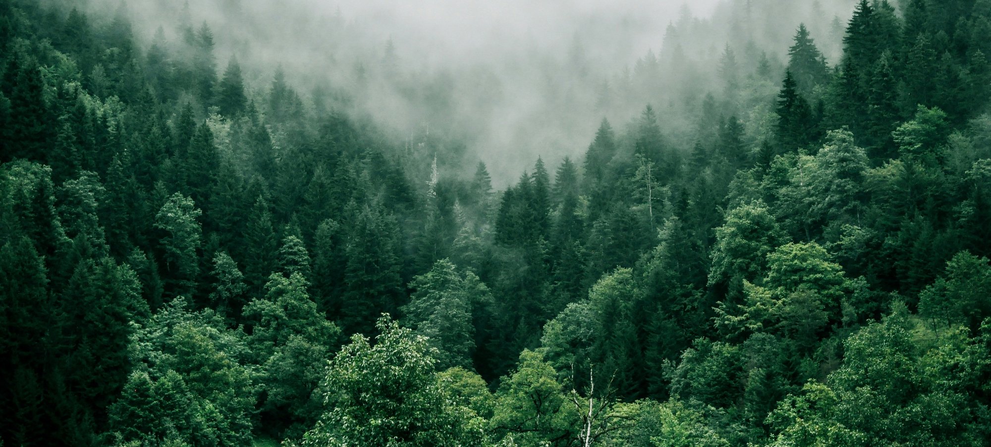 EU Taxonomy - Environmental Objectives