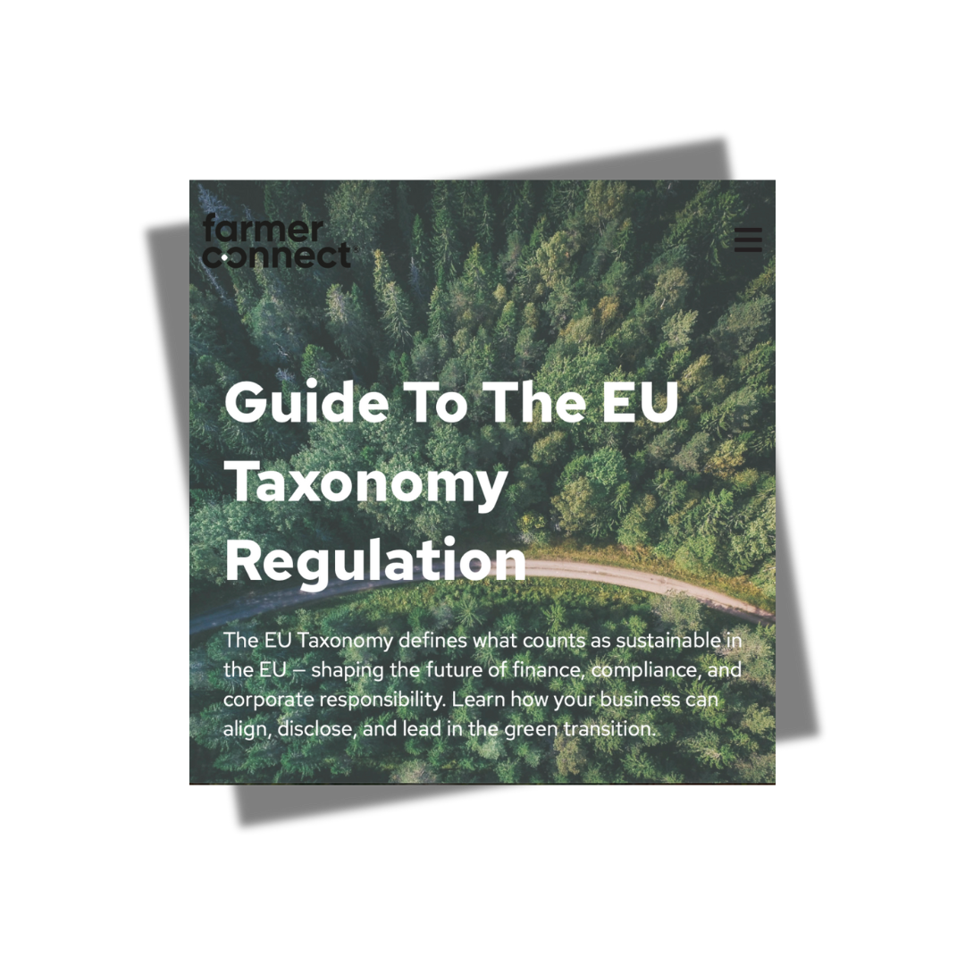EU Taxonomy Guide