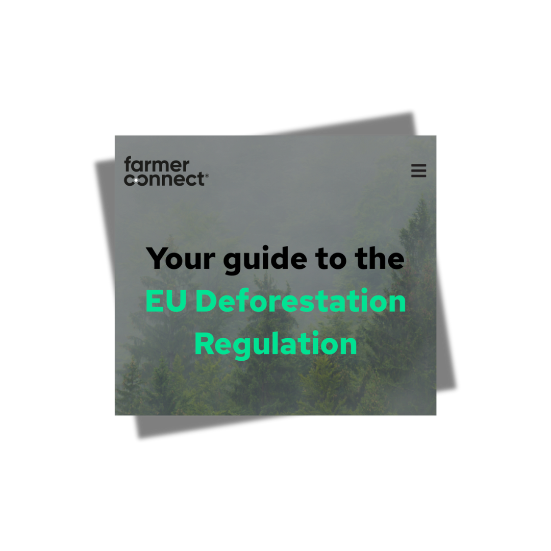 EUDR Guide