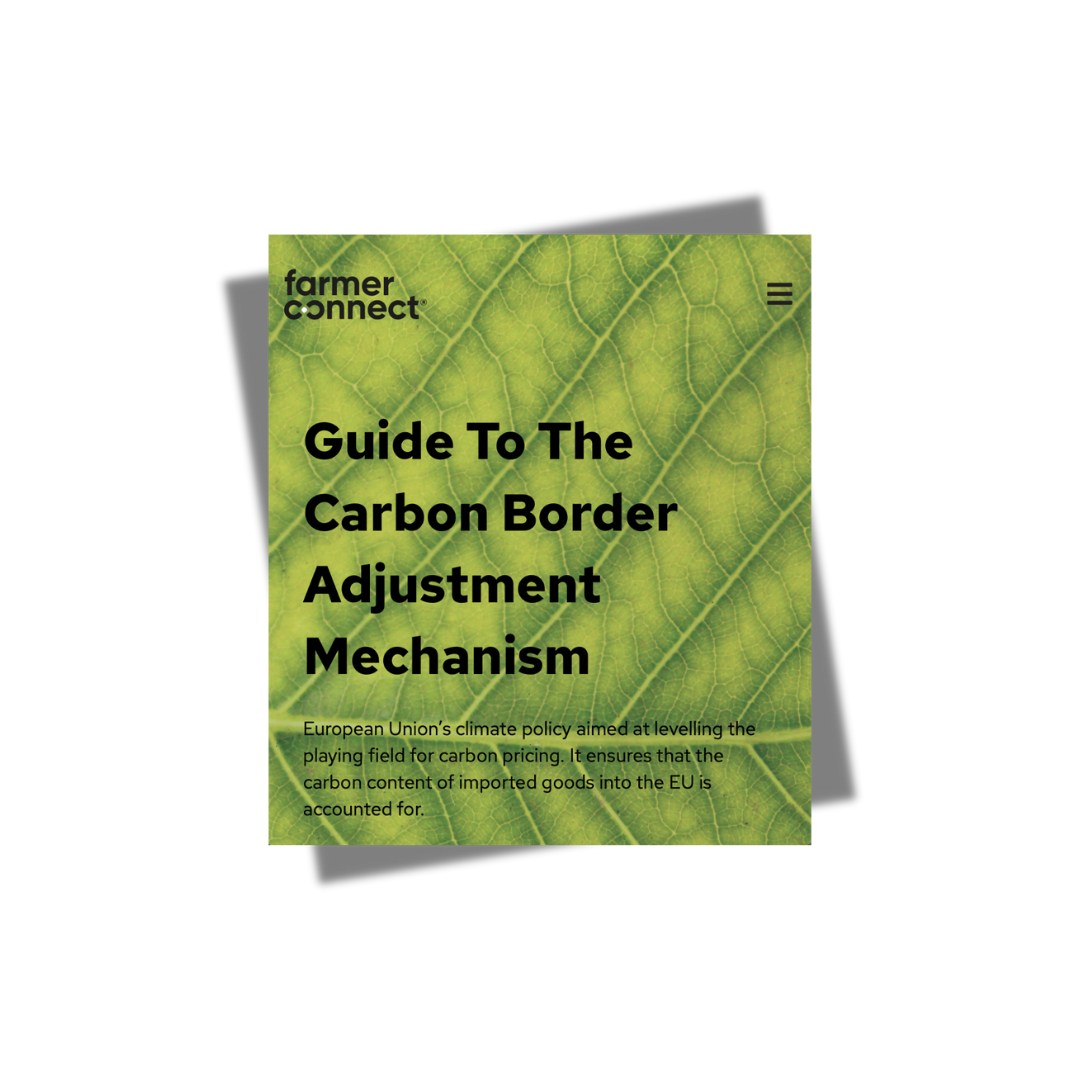 CBAM Guide